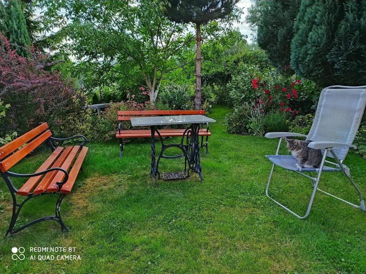 Apartmán Apartament Radochow 138G Lądek-Zdrój Exteriér fotografie